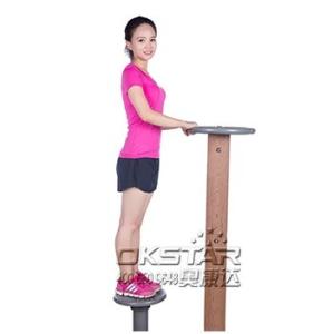 China outdoor fitness equipment twister gym equipment wholesale