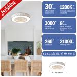 20" Bladeless Ceiling Fan