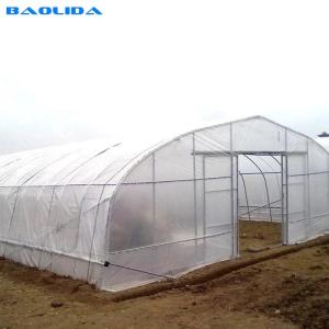 China Gothic High Tunnel Vegetable Film Hydroponics Single-Span Greenhouse Construction wholesale