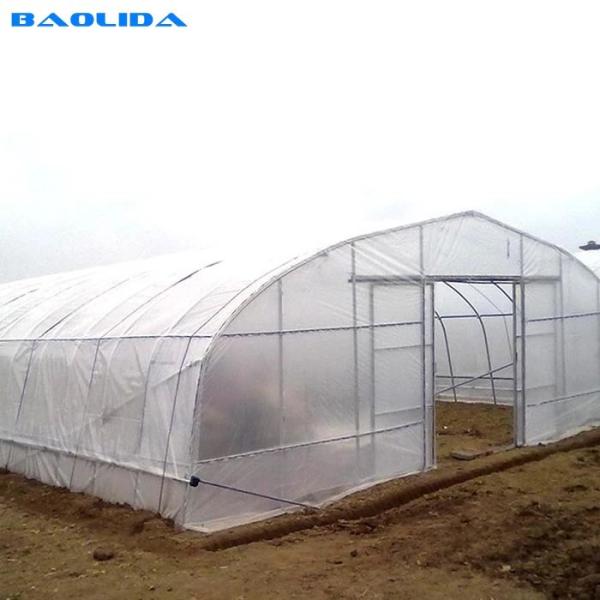 High Tunnel UV Resistant 100 150 200mic PE Plastic Sheeting Single-span