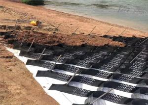 China Stabilize Embankments Welding Height 100mm Geocell Ground Grid wholesale