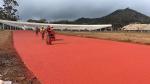 Multicolor Synthetic Sports Flooring Recycled Rubber Outdoor Flooring