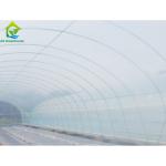 Customized Commercial Poly Tunnel Greenhouse 10*30 Square Meters For Cucumber