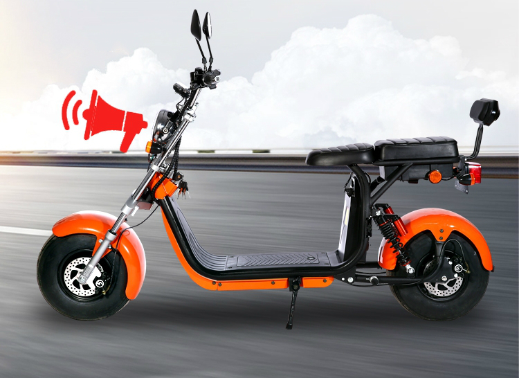 Eec Coc European Electric Scooter 120kg Long Range City Coco Fat Tire Scooter