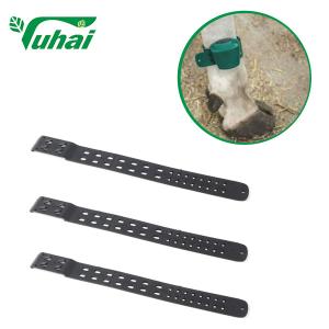China Black Livestock ID Tags Ankle Strap 35x4cm Ligghtweight Cattle Leg Bands Foot Set wholesale