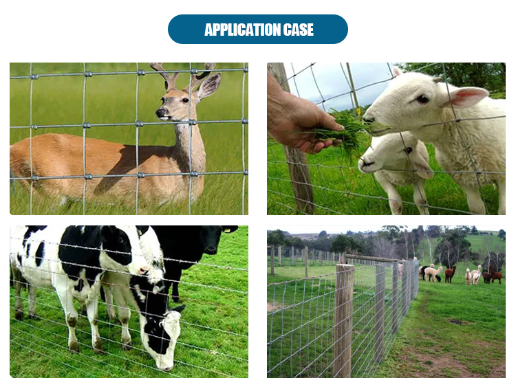 Sell High-Quality Good Price Cattle Grassland Farm Wire Mesh Fence Field Mesh Animal Breeding Grassland Fence