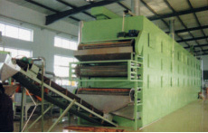 DW Multi-layer Mesh-Belt Drier