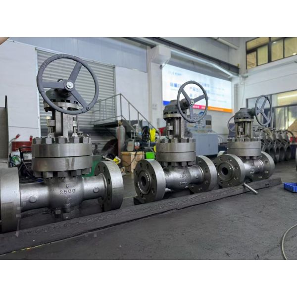 6 Inch 5A-2500 Class Dual Stainless Steel Gate Valve with Middle Bolt Design for High Pressure Applications