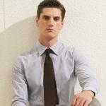 Spring 100% Cotton Fabric Men's Formal Dress Shirt Slim Fit Business Shirt Full