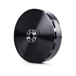 China Efficient M10 IPE 90KV DC Brushless Electric Motor Customizable wholesale