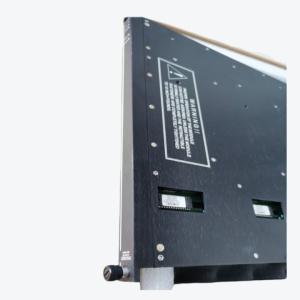 China TRICONEX 9765-610 THERMOCOUPLE INPUT TERMINAL Module wholesale
