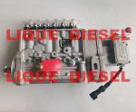 BYC pump 5318046 10404534005 10 404 534 005 CPES6P120D120RS