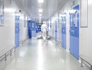China Interior Hollow Metal Access Air Shower Steel Clean Room Door For Food Warehouse wholesale