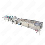 Commercial Fruit & Vegetable Processing Machines Dryer Fruit And Vegetables