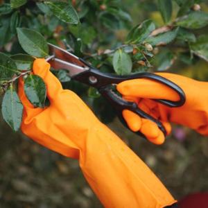 China Excellent Grip Durable Garden Gloves  Tear Resistant Kitchen Rubber Gloves on sale