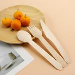 Eco Life Wooden Cutlery Biodegradable Wooden Cutlery Set Kitchen Wooden Travel