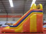 Children / Adult Blow Up Slide , Commercial Grade Giant Inflatable Slide