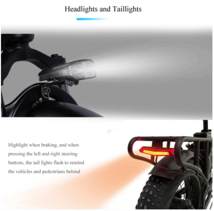 20 Inch Fat Tire Foldable Electric Bike 750W 48V 7 Speed 17AH Battery Capacity