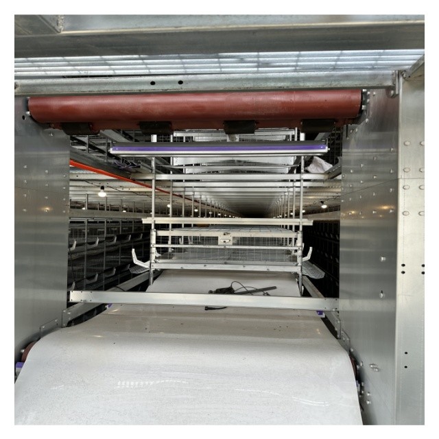 Space-Saving Design High Yield H-Type Fully Automatic Layer Cages for Modern Farms