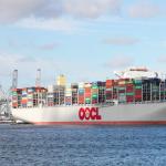 Shipping Companies Agent Global Logistics From Shenzhen to Belgium French