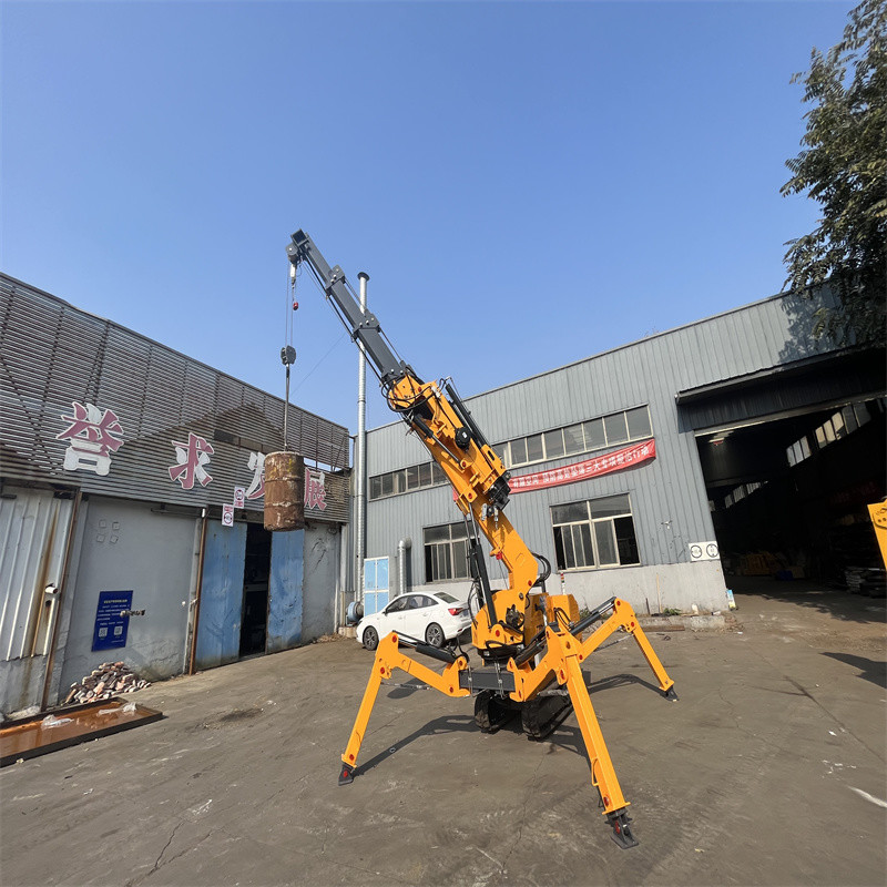 Electric and Diesel Power Spider Crawler Crane for Tough Jobs