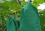 Anti-bird Insect Fruit Prevention Nonwoven Bag Agricultural Protection Grape