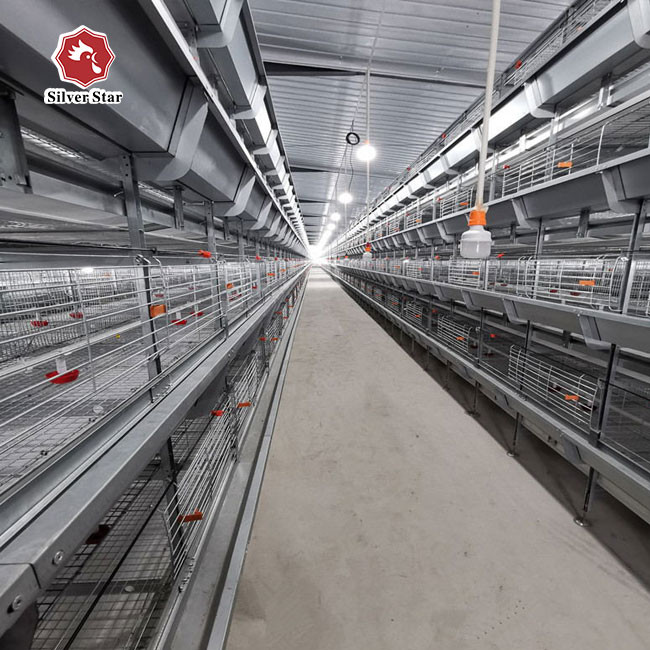 85*62.5*50 Cm Size Broiler Chicken Cage H Type