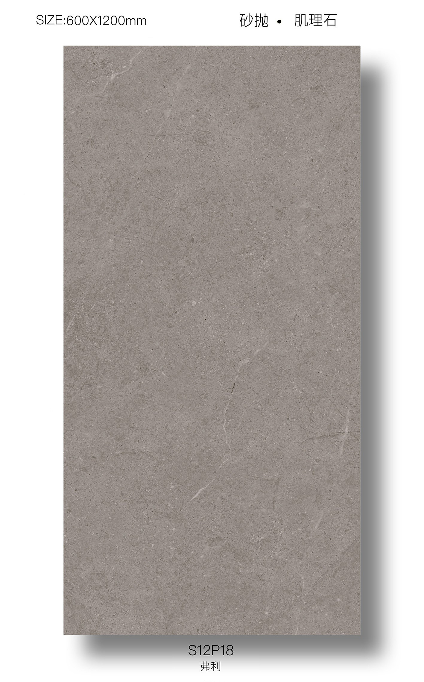 Grade AAA Gray 60x120cm Baby Face Floor Decoration Porcelain Tiles For Shower
