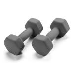 Cast Iron Neoprene Fitness Dumbbell Vinyl Dipped Dumbbells For Weight Exercise