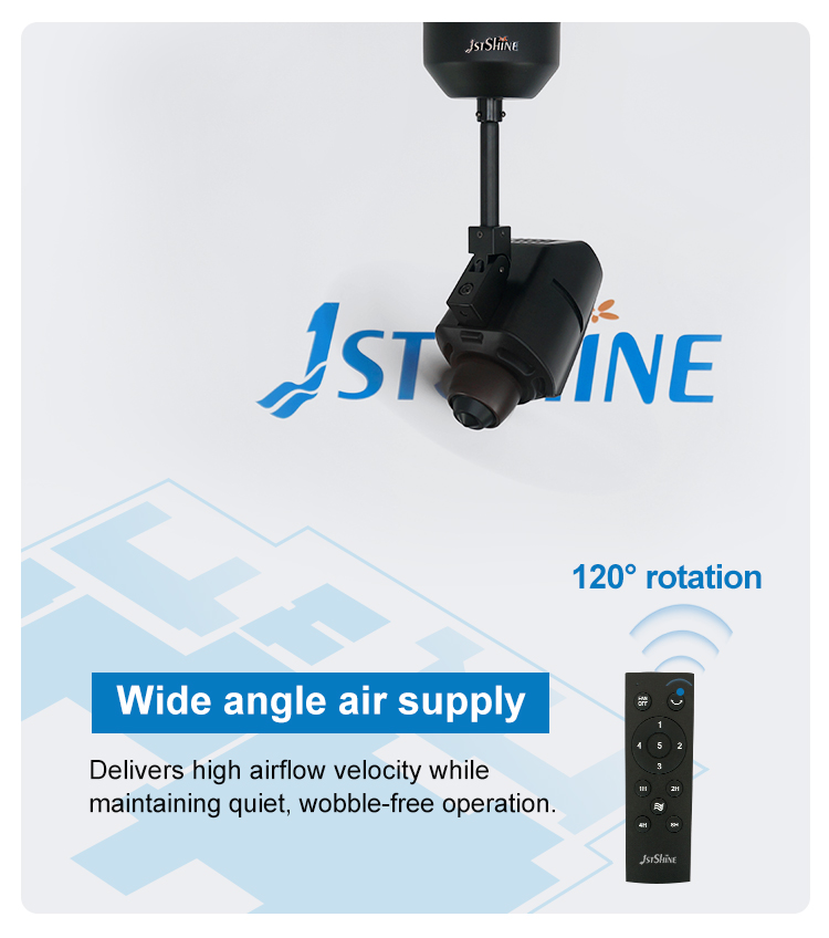 Ceiling Fan 1stshine Air Cooling 120 Degree Revolve DC Motor 5 Speed 16 Inches Small