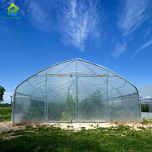 China Pipe Framed Poly Tunnel Greenhouse Strong Wind Resistance wholesale