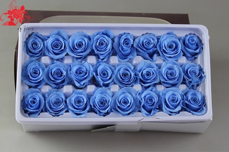 Wholesale real preserved rose stabilized natural preserved fresh flowers for Valentines day