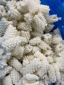 China Durable Frozen Seafood Giant Cut Squid Flower Calamar Carved wholesale
