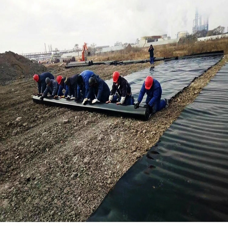 Black HDPE Geomembrane Plastic Liner for Shrimp Farm Pond Lining Geomembrane Liner