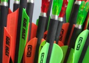 China Carbon Fiber Child's Arrow For Practice , Youth Beginner Practice Arrows wholesale