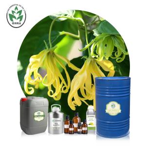 China CAS 8006-81-3 Ylang Ylang Essential Oil wholesale