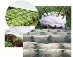 Agriculture Non Woven Polypropylene Fabric Anti Aging SGS Certification