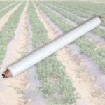 Agricultural Nonwoven Fabric , SMS , PP , PET , Anti-cold Anti-UV Anti-aging