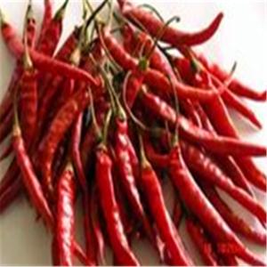 China Chefs Delight Spicy Dried Birds Eye Chilli wholesale