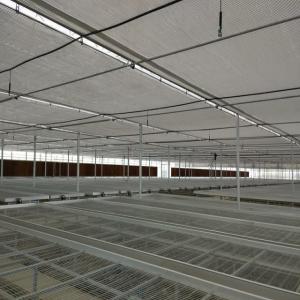 China Agricultural Equipment Greenhouse Bench Systems for Seedling Nursery wholesale
