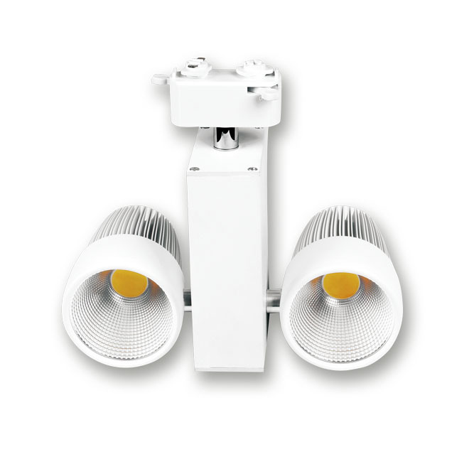 Professional Manufacturer Epistar chips 2*10W COB LED Tracklight