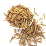 Origin Fine Powder Black Soldier Fly Powder