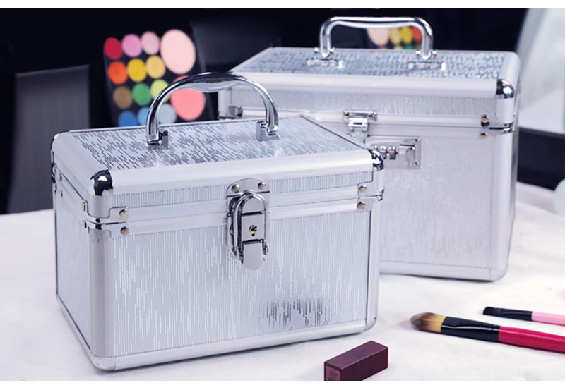 Lock Hard Brushes Toiletry Makeup Bag Case