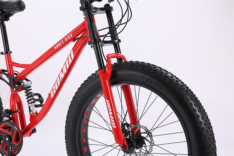 200kg Load Capacity Full Suspension Mountain Cycle Bicycle OEM Customizable Fat Tire Bike for Snow and Mountain Terrain