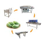 Hot selling Rotary Drum Washer For Vegetables With Factory Price by Huafood