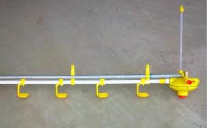 China Convenient Durable Nipple Drinkers For Broilers Manufacturing Plant wholesale