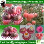high grade fuit packing