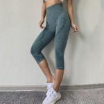 High Elastic Gym Yoga Pants Workout Gym Leggings Sport Women Fitness Seamless