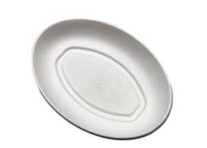 China Oval 262.5x197x20.1mm Biodegradable Sugarcane Bagasse Plates wholesale