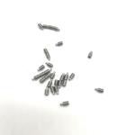 304 Stainless Steel Screws M2 ANSI Standard Electrolytic Polishing